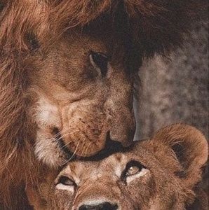 Meet your Posher, Corey